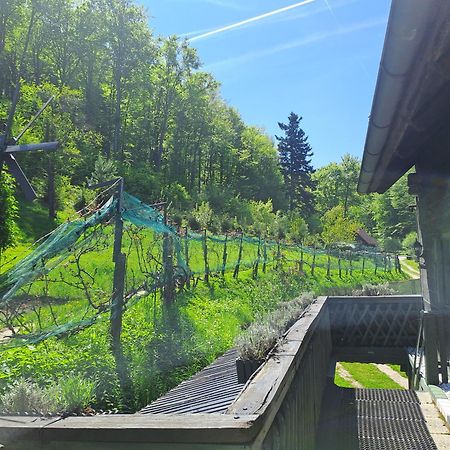 Das Altsteirische Landhaus - La Maison De Pronegg - Feriendomizil Im Biosphaerenpark Wienerwald 프레스바움 외부 사진