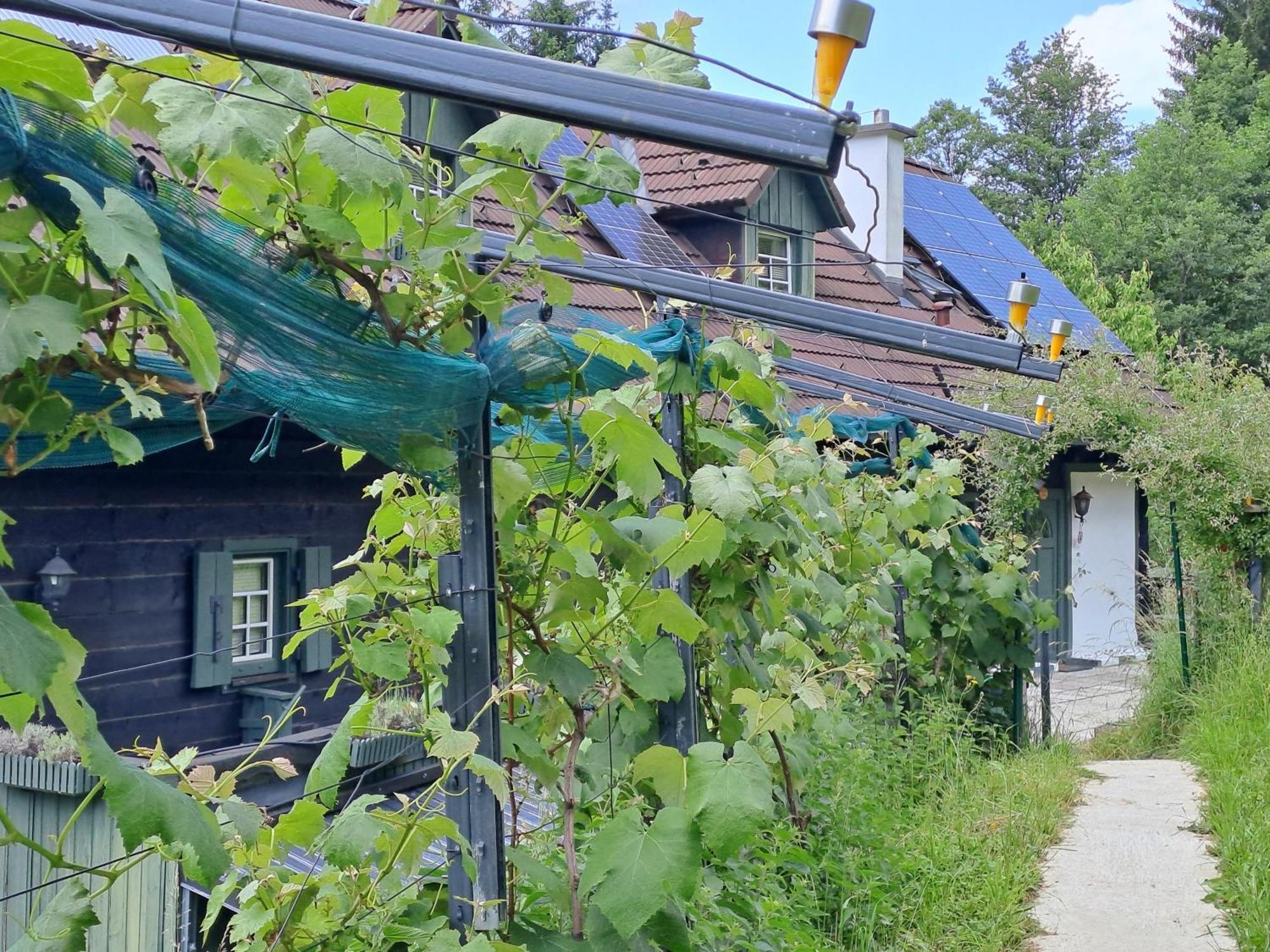 Das Altsteirische Landhaus - La Maison De Pronegg - Feriendomizil Im Biosphaerenpark Wienerwald 프레스바움 외부 사진