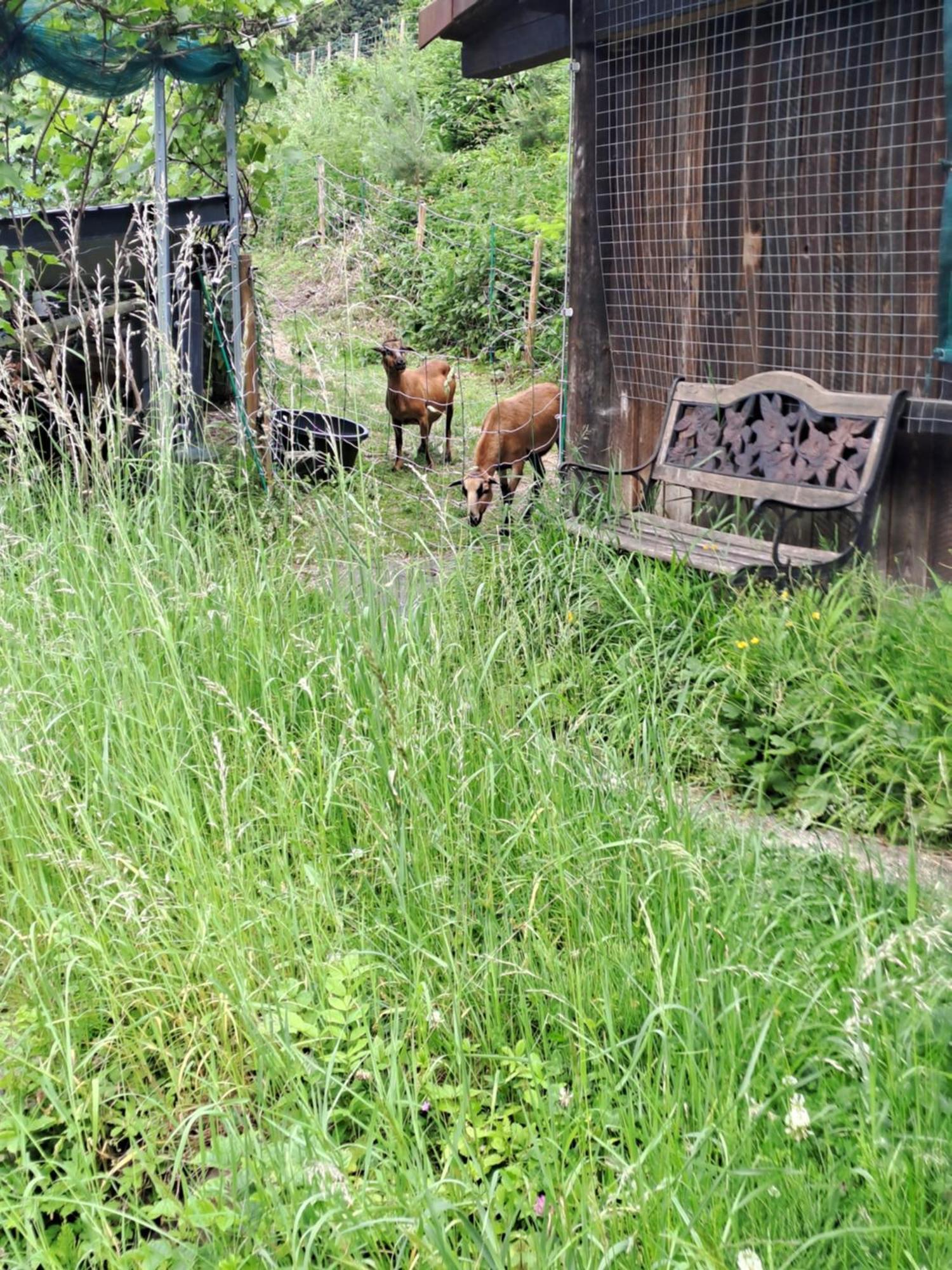 Das Altsteirische Landhaus - La Maison De Pronegg - Feriendomizil Im Biosphaerenpark Wienerwald 프레스바움 외부 사진