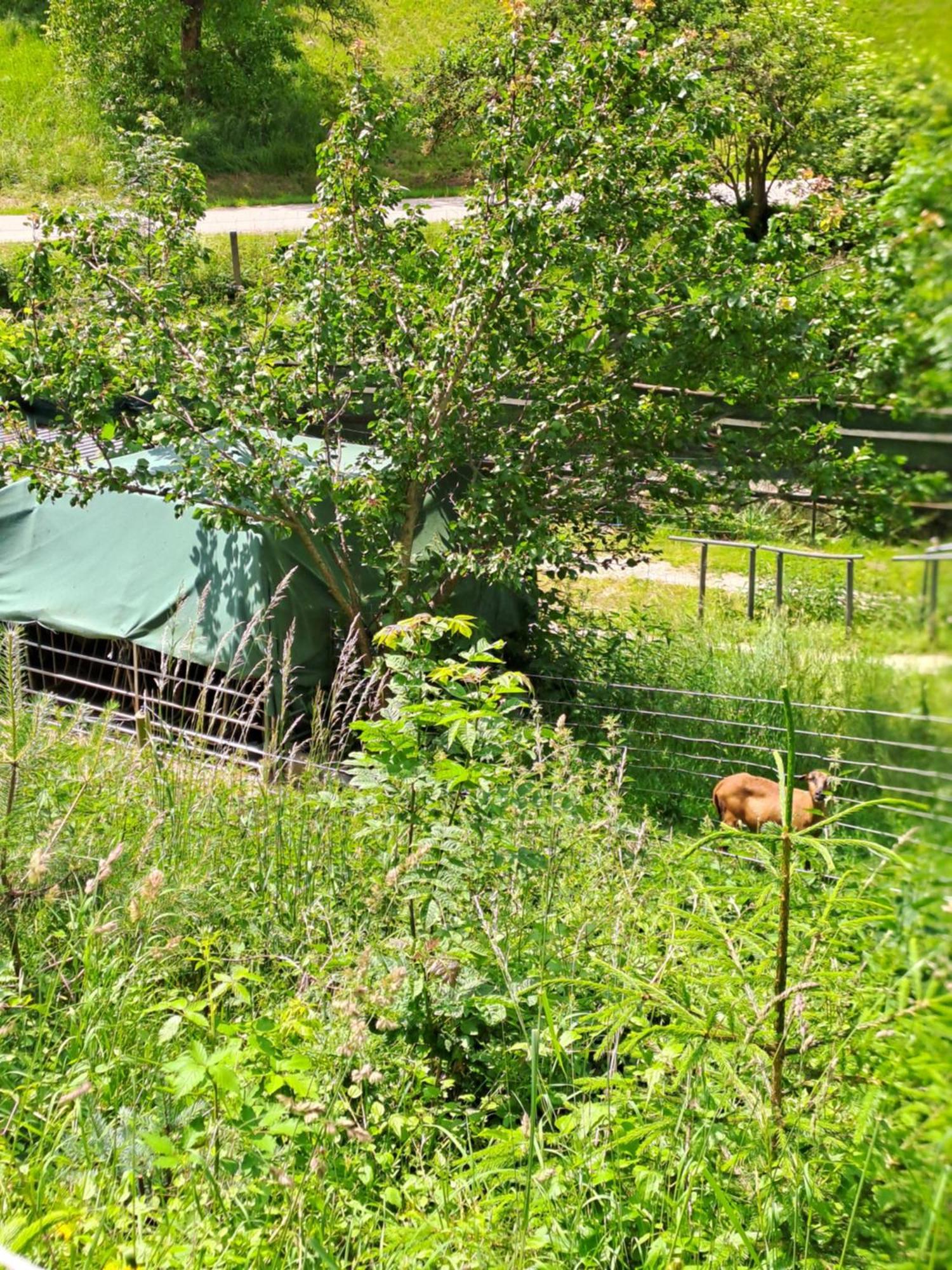Das Altsteirische Landhaus - La Maison De Pronegg - Feriendomizil Im Biosphaerenpark Wienerwald 프레스바움 외부 사진