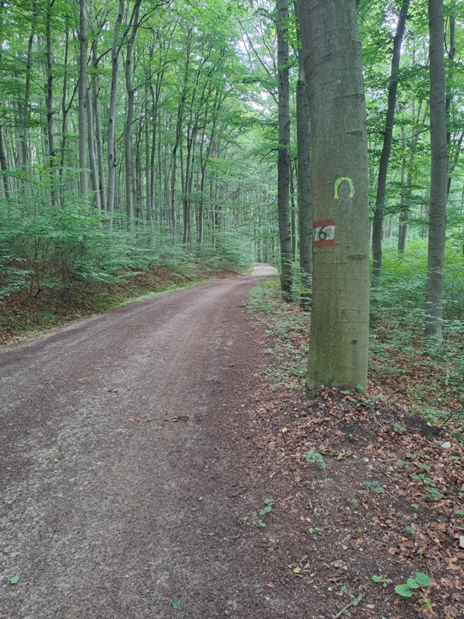 Das Altsteirische Landhaus - La Maison De Pronegg - Feriendomizil Im Biosphaerenpark Wienerwald 프레스바움 외부 사진