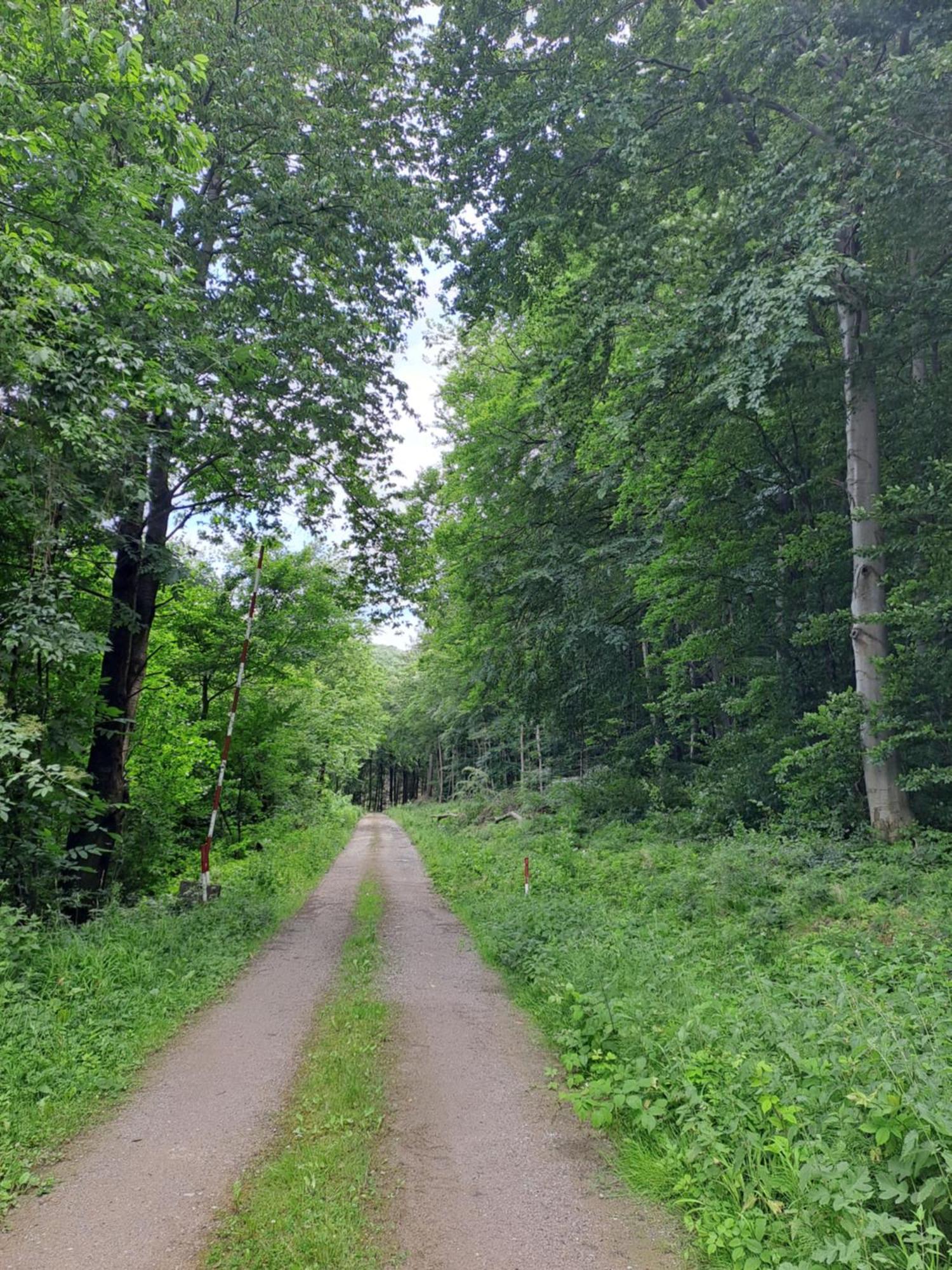 Das Altsteirische Landhaus - La Maison De Pronegg - Feriendomizil Im Biosphaerenpark Wienerwald 프레스바움 외부 사진