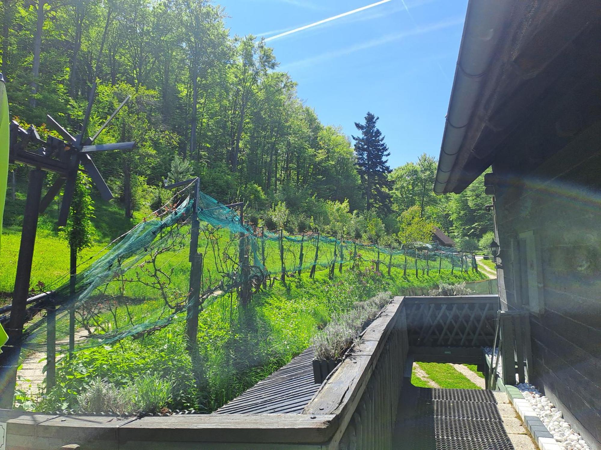 Das Altsteirische Landhaus - La Maison De Pronegg - Feriendomizil Im Biosphaerenpark Wienerwald 프레스바움 외부 사진