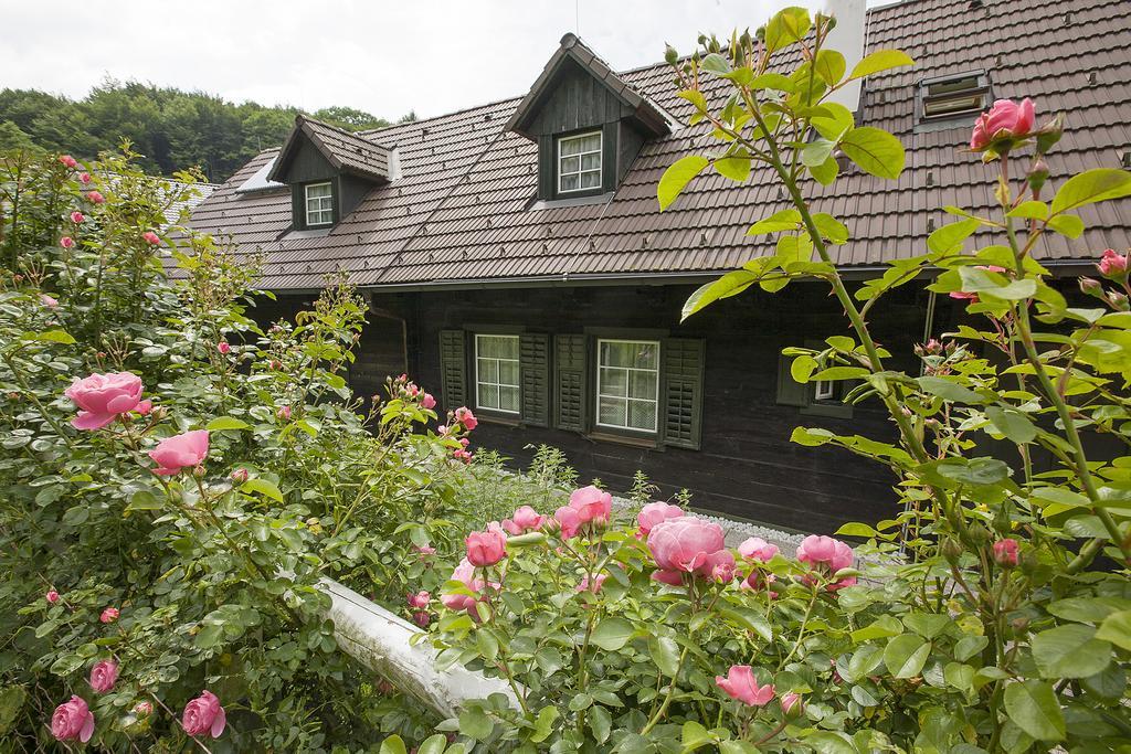 Das Altsteirische Landhaus - La Maison De Pronegg - Feriendomizil Im Biosphaerenpark Wienerwald 프레스바움 객실 사진